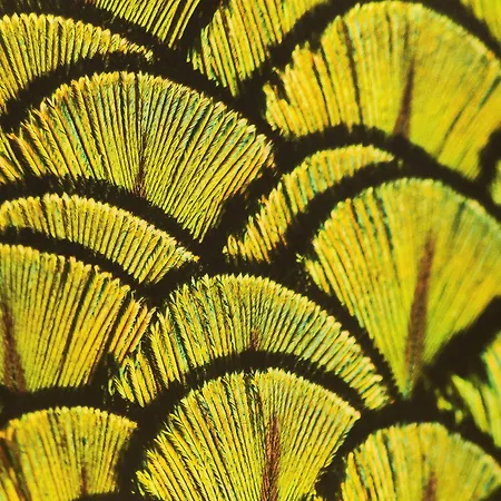 دي سيز فندق 4*